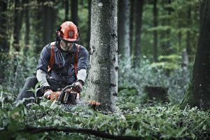 Husqvarna 435II X-TORQ-16" Αλυσοπρίονο 40cm (2.2Hp-1,6Kw-40,9cc-2,0Nm) 9676758‑35 - Image 5