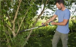 Κλαδευτήρι Με Σταθερό Κοντάρι Slimcut B Gardena 12010-20 - Image 4