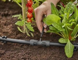 Σύνδεσμος T Micro-Drip 13mm σε 4,6mm Gardena 13204-20 - Image 2
