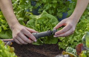 Αντάπτορας Micro-Drip 3/4"–4,6 mm Gardena 13224-20 - Image 4
