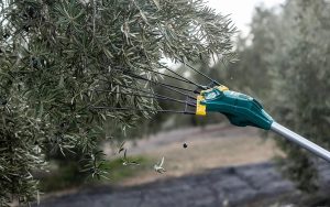 Επαγγελματικό Ελαιοραβδιστικό μπαταρίας 12V Τηλεσκοπικό (ΑΤΟΚΕΣ ΔΟΣΕΙΣ) Zanon Falcon AL-300 12V - Image 4