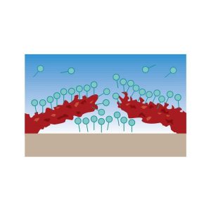 Δραστικό καθαριστικό γράσου-ρυτίνης Liquid Green Wurth 0893474 - Image 4