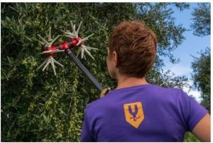 Ελαιοραβδιστικό YAMASTIK Νιφάδα Χ12 2,3m Μεταλλικά Γρανάζια 12V-15V για Μπαταρία - Image 5