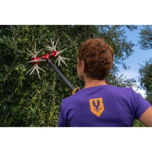 Ελαιοραβδιστικό YAMASTIK Νιφάδα Χ12 CARBON 2,5m 12V-15V για Μπαταρία - Image 3