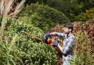 Black & Decker BEHTS301 Ψαλίδι μπορντούρας 500W με 50cm Λεπίδα 2,2cm - Image 3