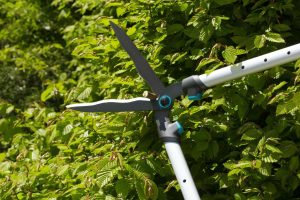 Τηλεσκοπικό Ψαλίδι Μπορντούρας Gardena Telecut 700-900 (12304-20) - Image 3