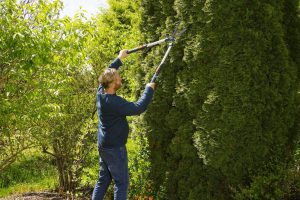 Τηλεσκοπικό Ψαλίδι Μπορντούρας Gardena Telecut 700-900 (12304-20) - Image 4