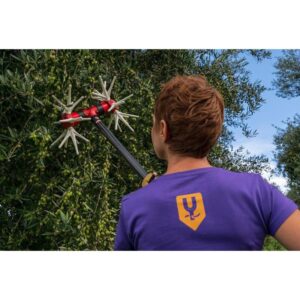 Ελαιοραβδιστικό YAMASTIK Νιφάδα Χ12 CARBON 2,5m 12V-18V για Δυναμό - Image 3