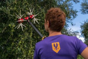 Ελαιοραβδιστικό Carbon YAMASTIK Νιφάδα Χ12 Brushless 2,5m για Δυναμό Με Ρυθμιστή Ταχύτητας - Image 4