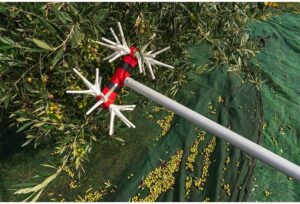 Ελαιοραβδιστικό YAMASTIK Νιφάδα Χ14 2,5m 12V-18V για Δυναμό - Image 4