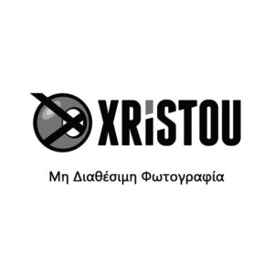 Δείκτης τοποθέτησης