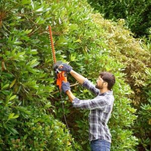 Ψαλίδι Μπορντούρας 500W με 55cm Λεπίδα 2,2cm Black & Decker BEHTS401-QS - Image 3
