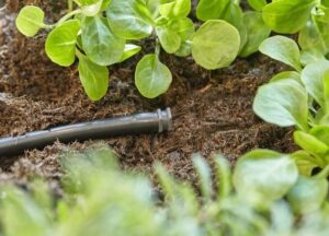 Τάπα άκρης Micro-drip 4,6mm 6pcs 13215-20 Gardena - Image 2