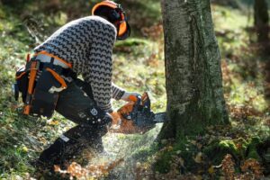 Husqvarna 450S X-TORQ-18" Αλυσοπρίονο 45cm (3,2Hp-2,4Kw-50cc) - Image 3